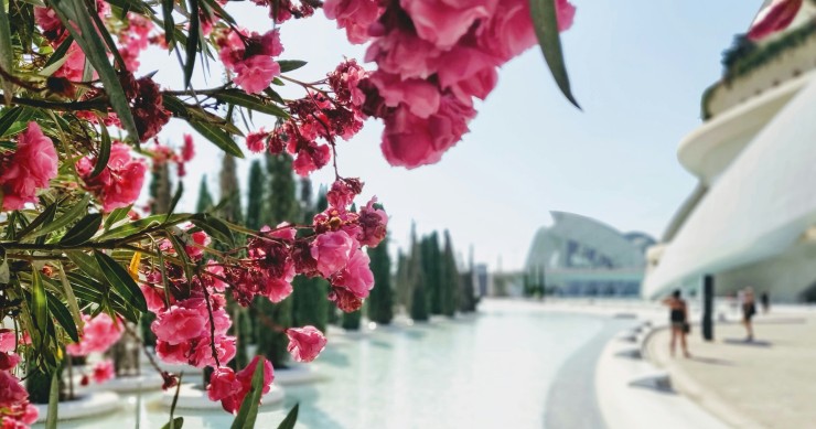 Valencia quality of life 2025