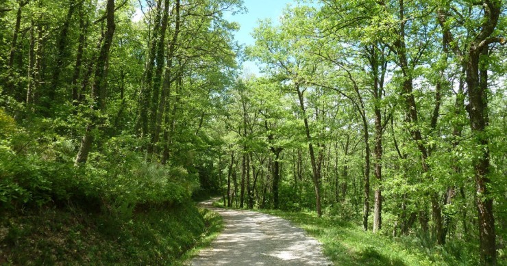Ruta entre Cantabria y Burgos