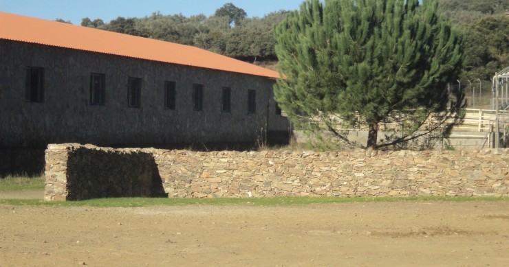 Archivo - Finca rústica.