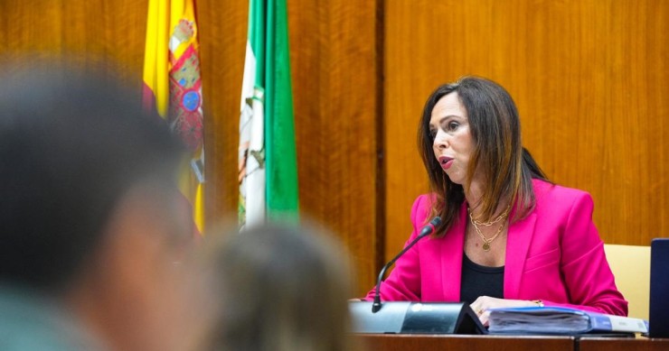 La consejera de Vivienda de Andalucía, Rocío Díaz