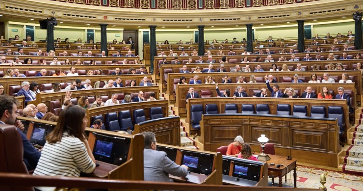 Hemiciclo durante el pleno extraordinario en el Congreso