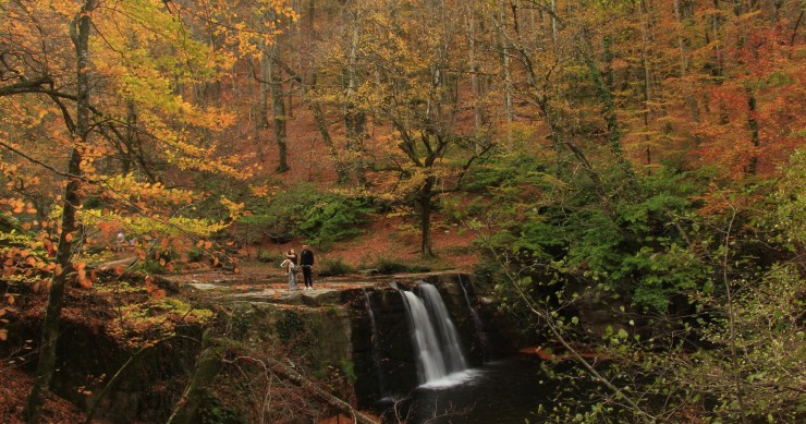 Otoño épico en 7 planes por España: hayedos, viñedos y mar