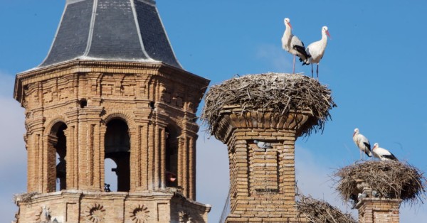 El pueblo más barato de La Rioja para comprar casa: no supera los 800 euros/m2