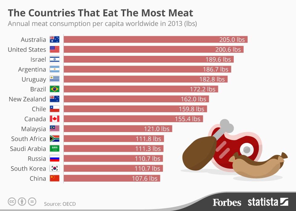 Imagen del día los países que más carne consumen al año — idealista/news