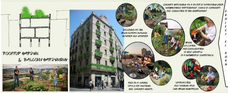 Casa ecológica con jardín sobre el techo