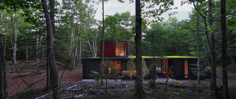 Vivienda construida en madera y acero natural