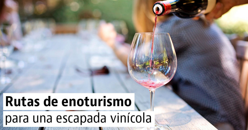 Las mejores rutas del vino para una escapada enoturística