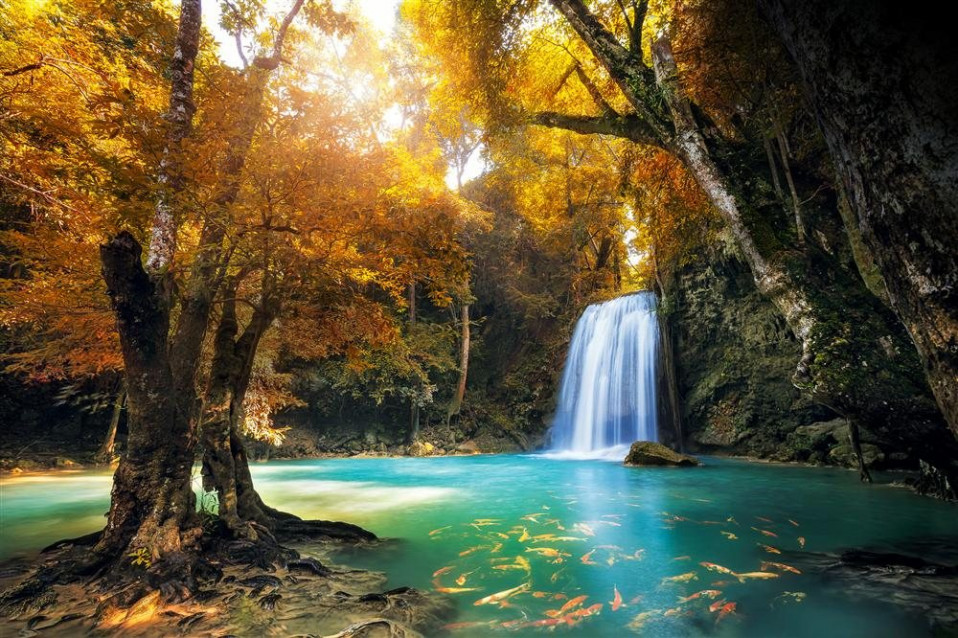Cascada de peces en el interior de la selva de Kanchanburi, Tailandia / National Geographic