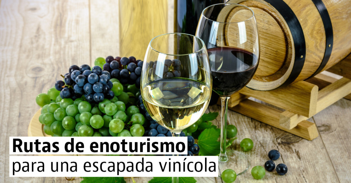 Las mejores rutas del vino para una escapada enoturística