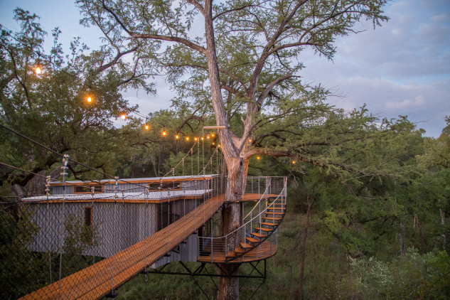 Puente colgante / Smiling Forest/ArtisTree