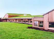 Imagen 0 - Sólheimar: la primera ecoaldea de Europa cumple 86 años