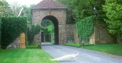 casanicolascagerhodeisland3