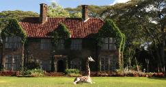 giraffe-manor2_0