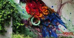 bordalo5