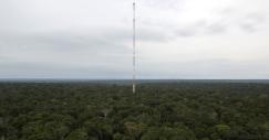 torre-2