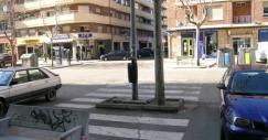 cebra_02