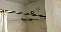 hotel_carter_ducha