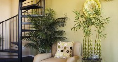 Ideas de decoración: cómo convertir tu triste piso de ciudad en un paraíso tropical 