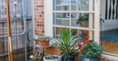 Ideas de decoración: cómo tener listo para fiestas el jardín de la casa en 5 pasos
