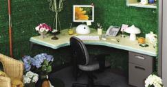 Oficina decorada al estilo verde 