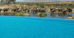 the-four-seasons-safari-lodge-serengeti-in-tanzania-lets-you-swim-while-watching-elephants-at-a-