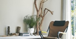 arboles_secos_01