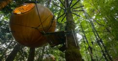 El hotel para dormir sobre un árbol como los Ewoks