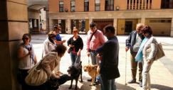 10 proyectos para hacer las ciudades accesibles que te devolverán la fe en el ser humano
