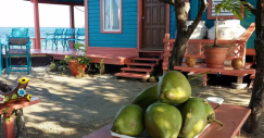 Casa en la isla de Caribe