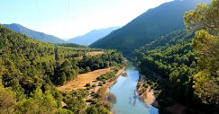 Ruta del río Borosa en la Sierra de Cazorla