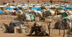 Arquitectura de los desplazados: así son las difíciles condiciones de vida en los campos de refugiados