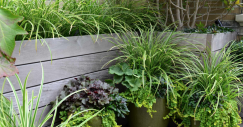 jardineras_02