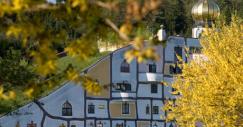 web_stammhaus_460_335