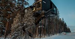 tree-hotel-noruega2