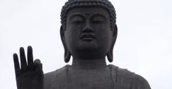 samuelhayashi