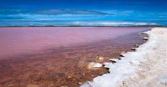 lake-retba-lac-rose