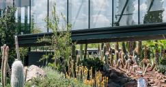 jardin_de_cactus-madrid2