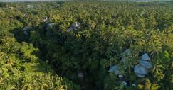 Green Village se encuentra en pleno bosque de Ubud, en la isla de Bali