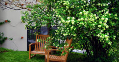 houzz3