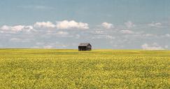 calgary
