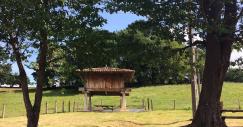 horreo