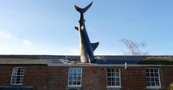 El tiburón de Headington