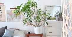 10 ideas para decorar tu casa para el próximo otoño-invierno 