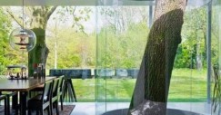 arboles-armonia-1-573x700
