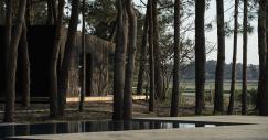 Están en pleno bosque