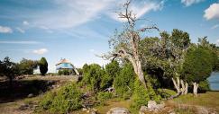 tomas-sandell-synvillan-mirrored-floating-villa-sweden-01