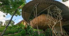 studios-bamboo-ulaman-eco-retreat-resort-bali-5