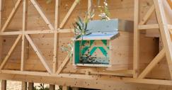 Detalle de una colmena exterior Air Bee and Bee