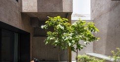 Patio interior con árbol