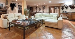 Salón en la vivienda de Pepín Liria